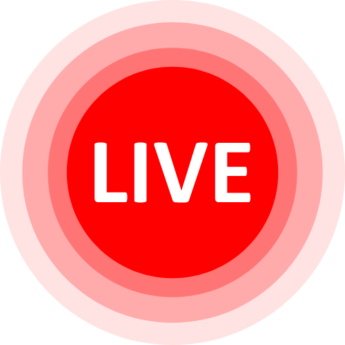 Stripcam Com